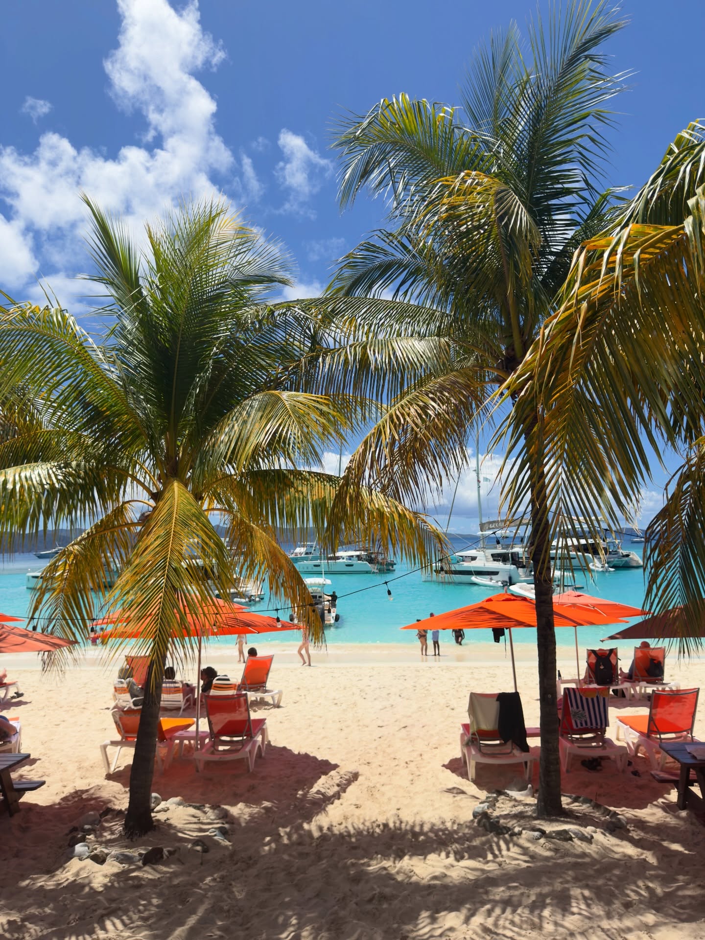 Palms and orange umbrellas on the sand at White Bay, Jost Van Dyke